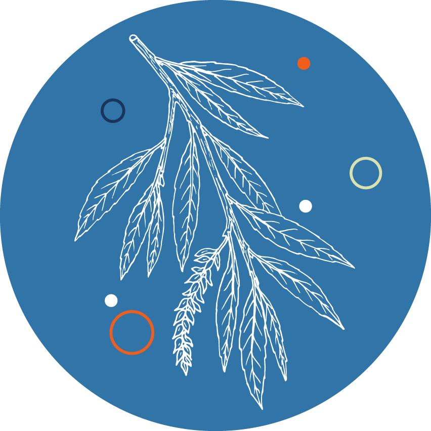 Resfristp sauce blanco