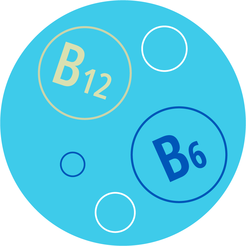 Dinadax Active Vitaminas B12 y B6