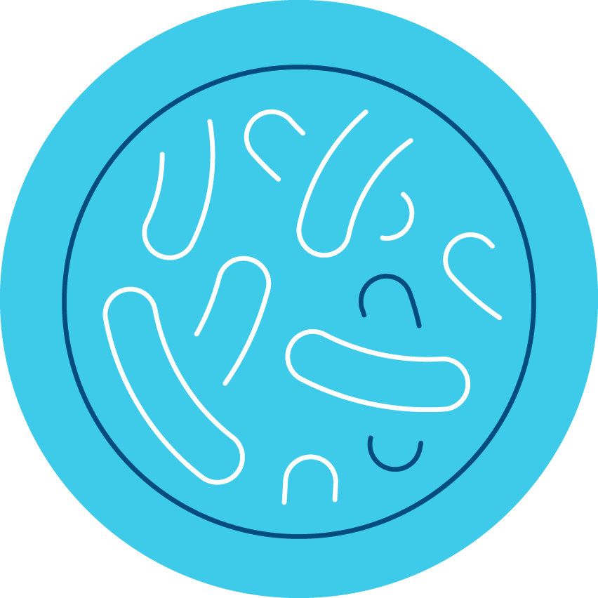 Dinadax Active fermentos lácticos