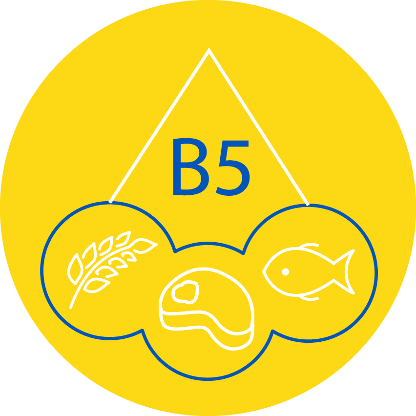 Dinadax Sapiens Vitamina B5