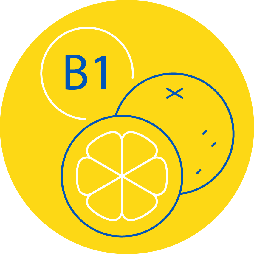 Dinadax sapiens vitamina B1